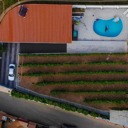 Casinha Das Bonecas - Casa Com Piscina Privada Aveiro Luaran gambar